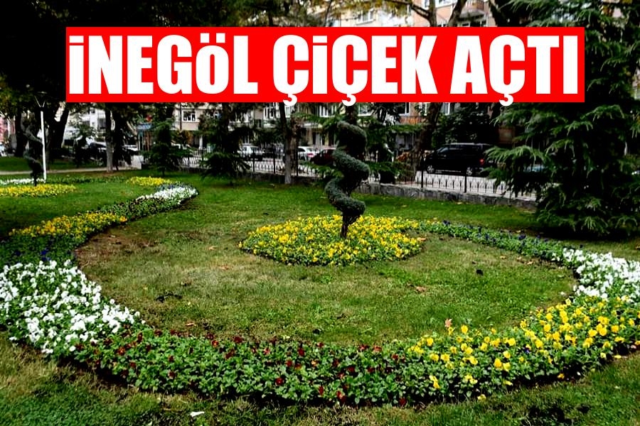 inegol cicek acti