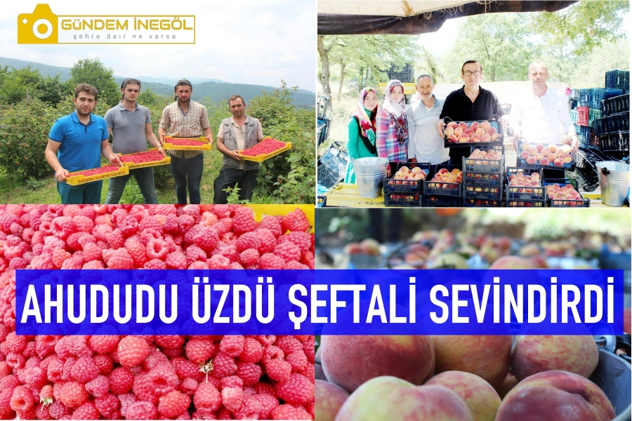 AHUDUDU ÜZDÜ ŞEFTALİ SEVİNDİRDİ