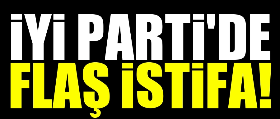 LÜTFÜ TÜRKKAN, GÖREVİNDEN İSTİFA ETTİ