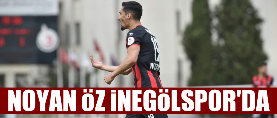 NOYAN ÖZ İLE PRENSİPTE ANLAŞILDI