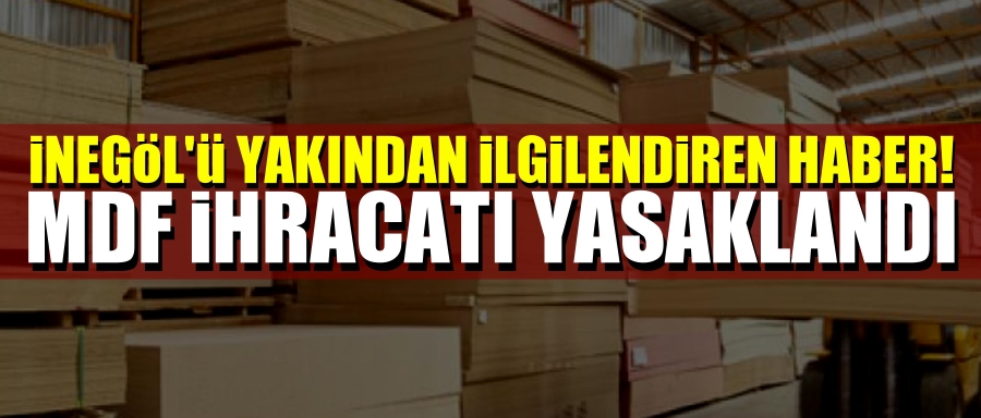 MDF İHRACATI YASAKLANDI!