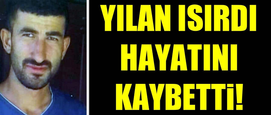 Yılan ısırdı hayatını kaybetti!