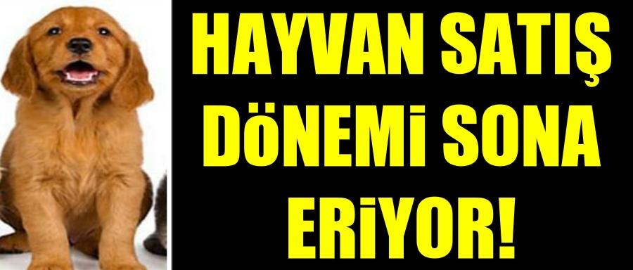 SERGİLENEREK HAYVAN SATIŞI SONA ERİYOR