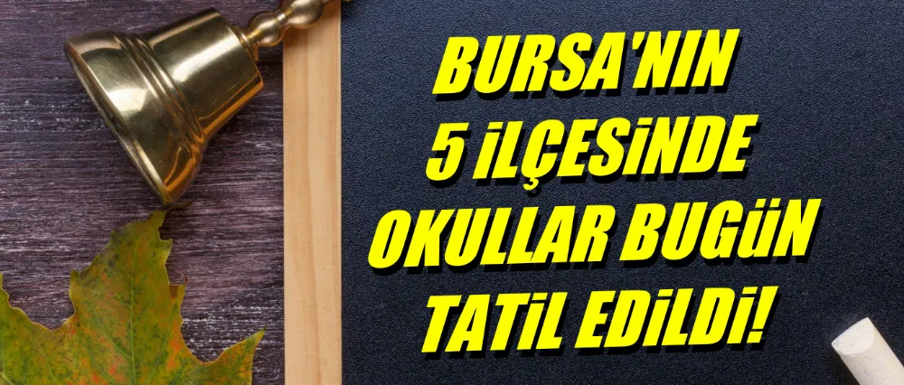Bursa