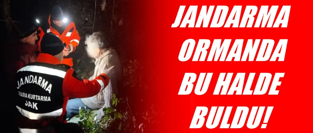 Mantar toplarken kaybolan şahsı jandarma buldu!