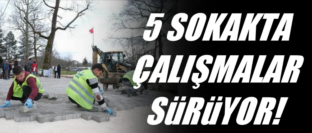 Karahasanlar Mahallesinde Parke Taş Uygulaması Sürüyor