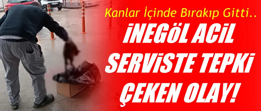 İNEGÖL ACİL SERVİS BAHÇESİNDE KEDİYİ EZDİ!