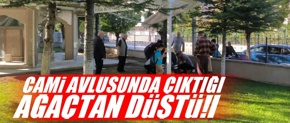 Cami avlusunda çıktığı ağaçtan düştü!