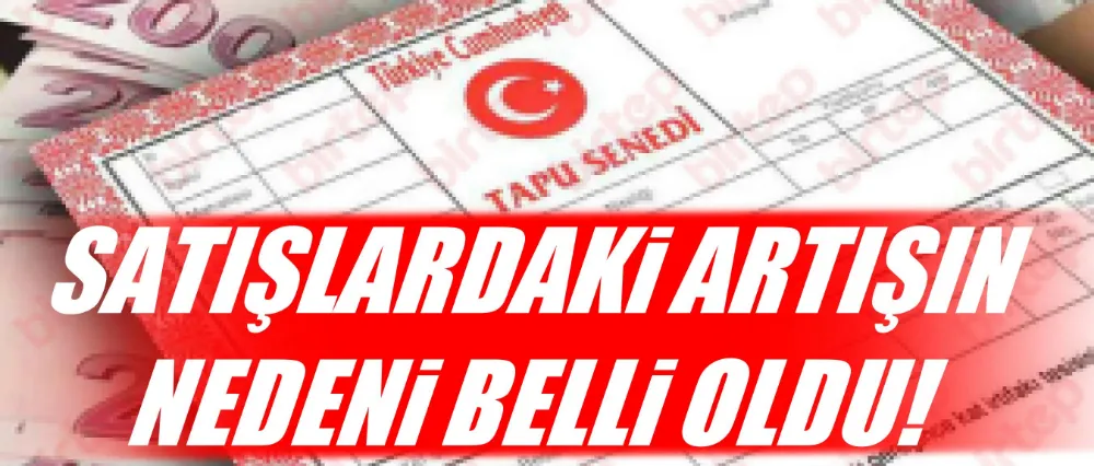 ARSA, ARAZİ, İŞ YERİ SATIŞLARINDA ARTIŞIN NEDENİ NE?