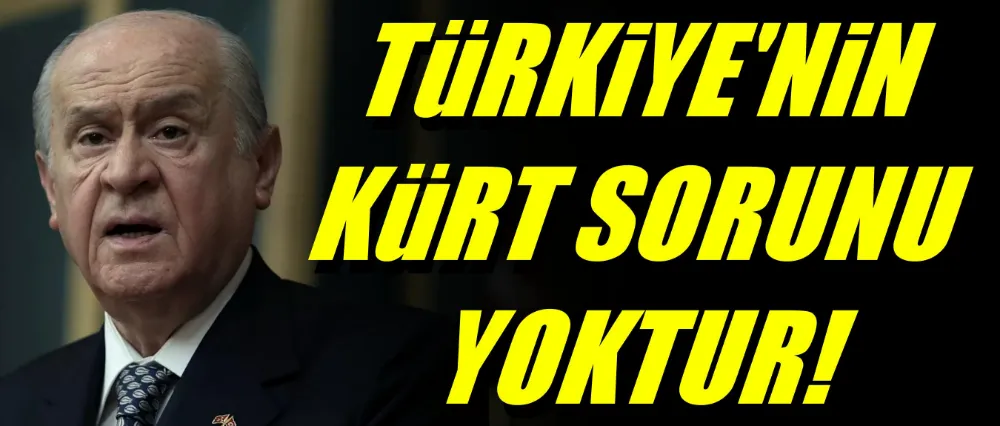 Devlet Bahçeli; Türkiye