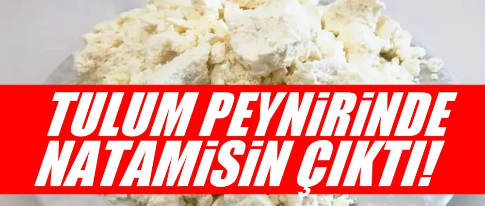 TULUM PEYNİRİNDE NATAMİSİN ÇIKTI!