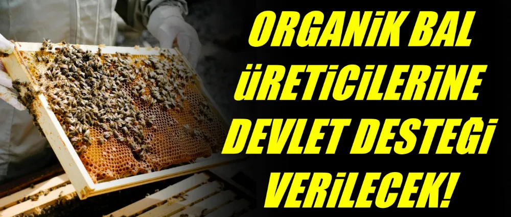 Organik bal üreticilerine kovan başına destek verilecek!