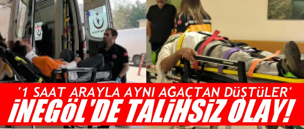 1 SAAT ARAYLA AYNI AĞAÇTAN DÜŞTÜLER!