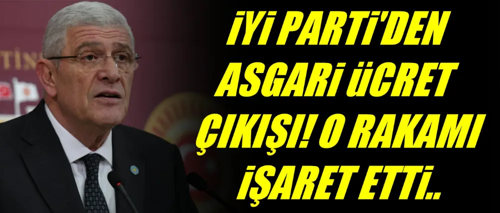 İyi Parti