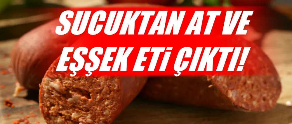 Sucuktan at ve eşek eti çıktı!