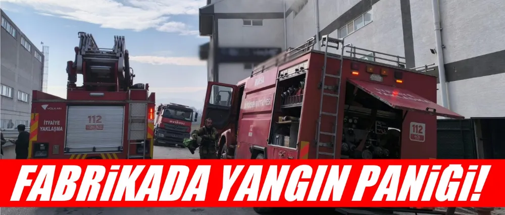 Mobilya fabrikasında yangın paniği!