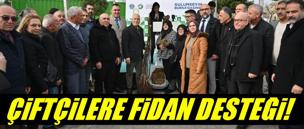 Bursa Büyükşehir’den üreticiye fide ve fidan desteği