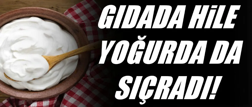 Gıdada hile yoğurda sıçradı!