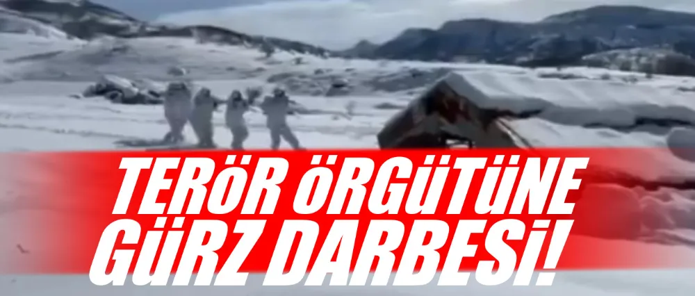 Terör örgütüne gürz darbesi!