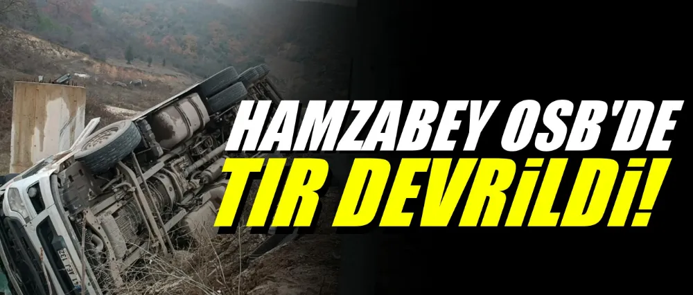 HAMZABEY OSB