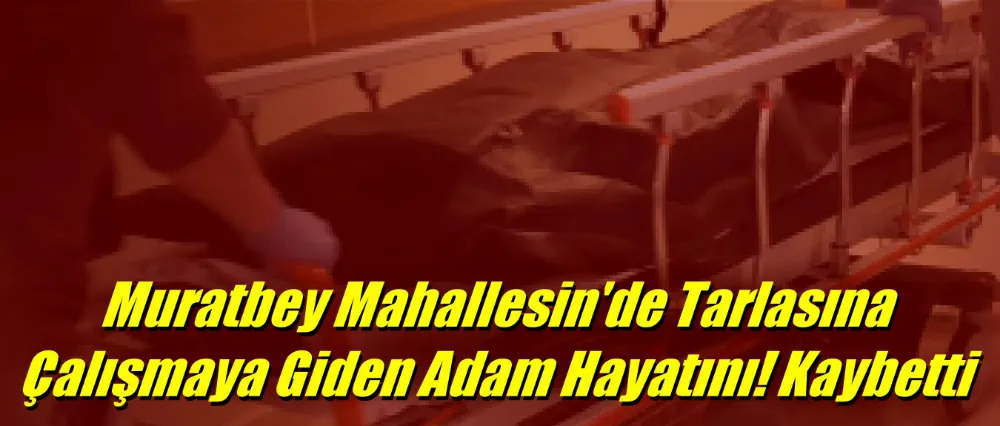  Tarlada çalışırken hayatını kaybetti..