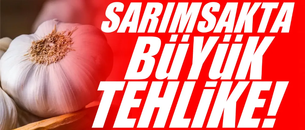 Sarımsakla ilgili korkutan açıklama!