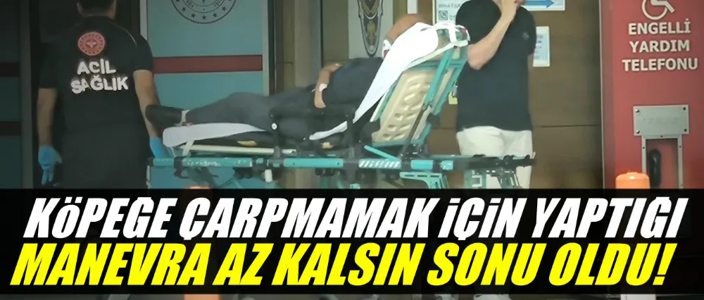 Köpeğe çarpmamak için manevra yapınca kaza yaptı!