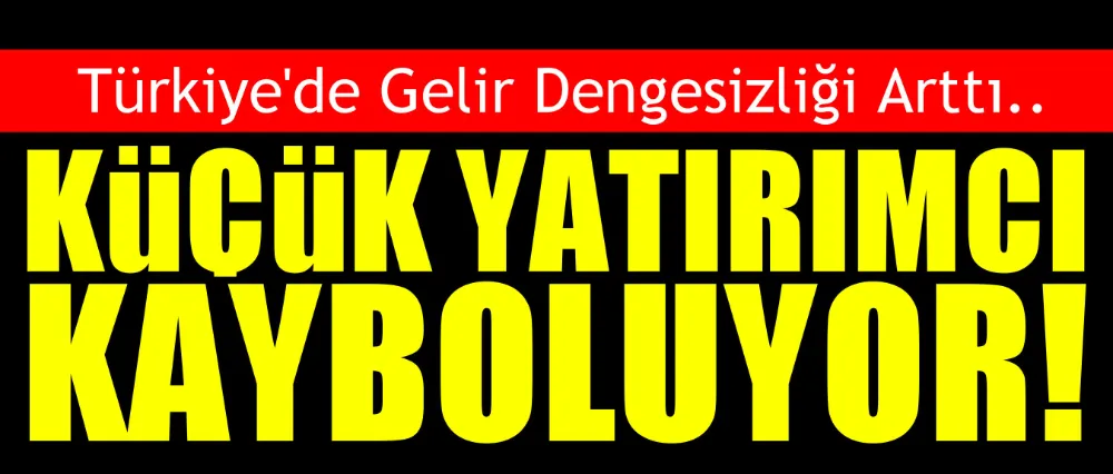 KÜÇÜK YATIRIMCI KAYBOLUYOR!