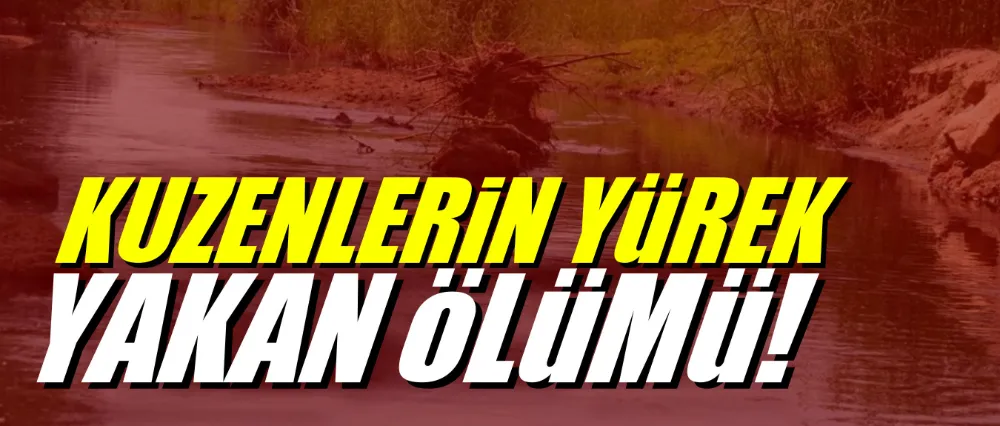 Girdikleri çayda boğuldular!