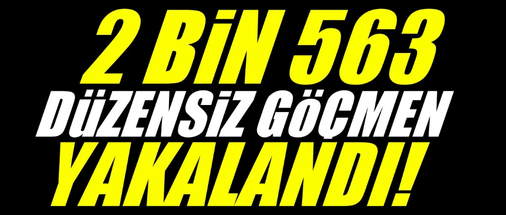 2 bin 563 düzensiz göçmen yakalandı