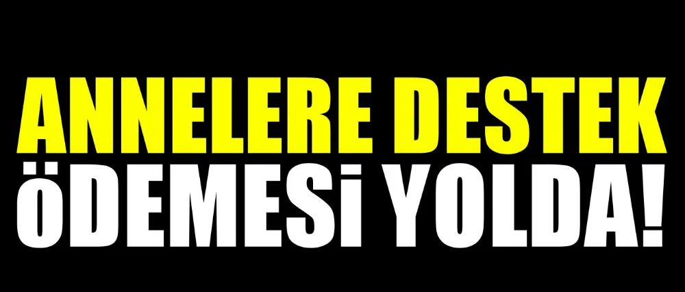 Annelere destek ödemesi yolda!