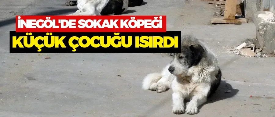 İnegöl