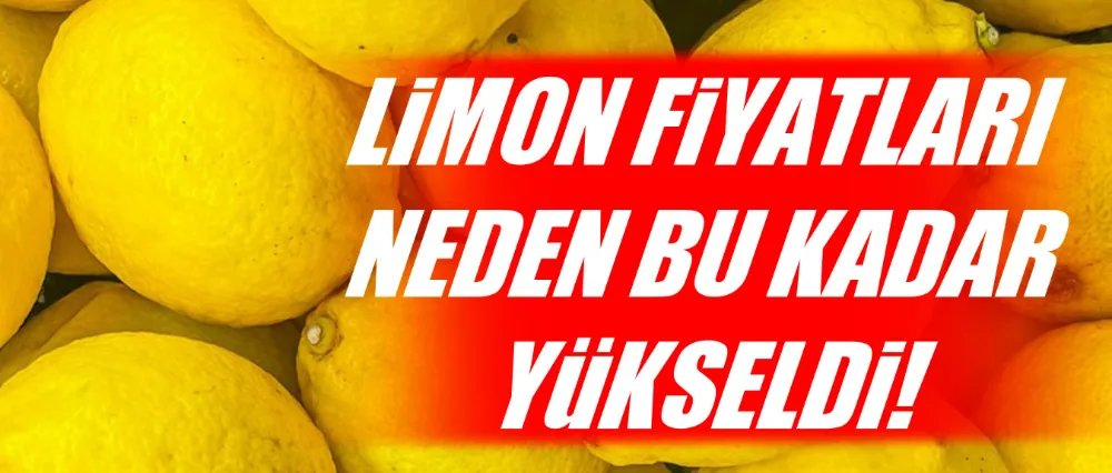 Limon fiyatları cep yakıyor!