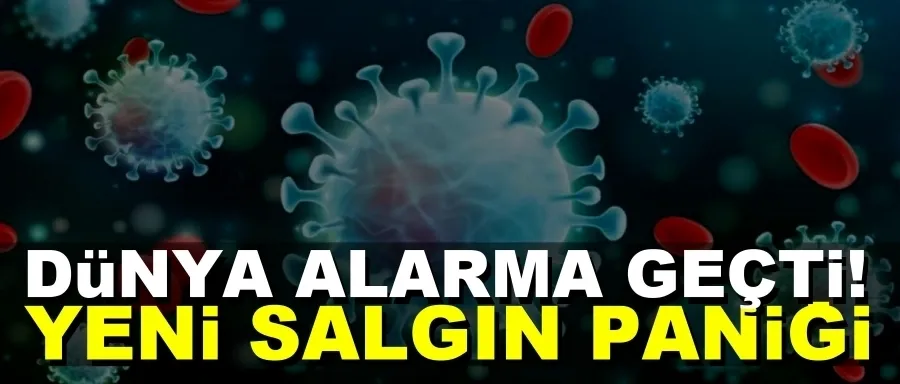 Yeni salgın paniği!