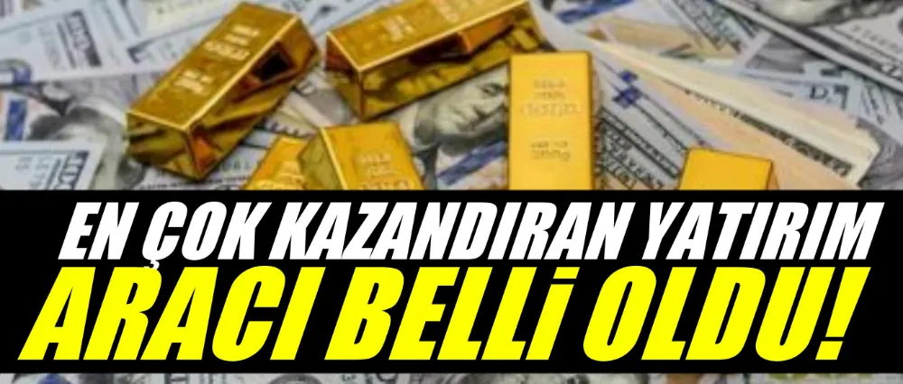 En çok kazandıran yatırım aracı belli oldu!