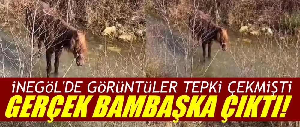 Rahvan At Kulübünden tepki çeken görüntülerle ilgili açıklama geldi!