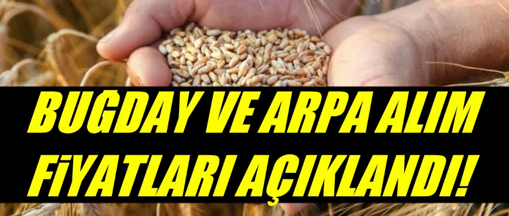 Toprak Mahsulleri Ofisi buğday ve arpa fiyatlarını açıkladı.