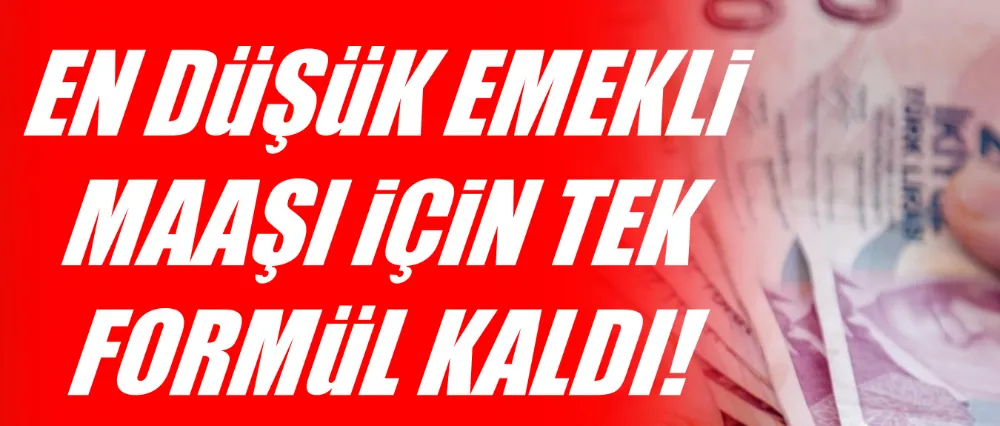 En düşük emekli maaşı kaç lira olacak?