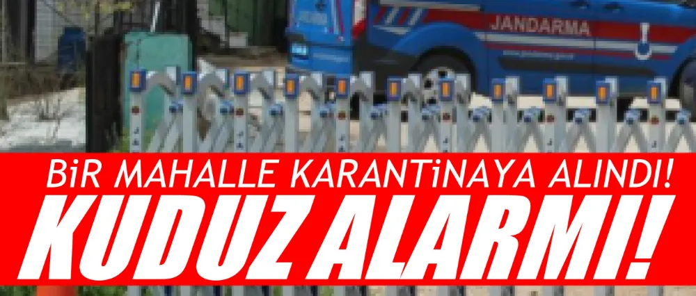 Kuduz alarmı!