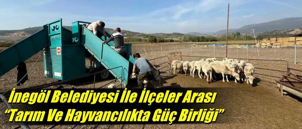 İnegöl Belediyesi İle İlçeler Arası “Tarım Ve Hayvancılıkta Güç Birliği”