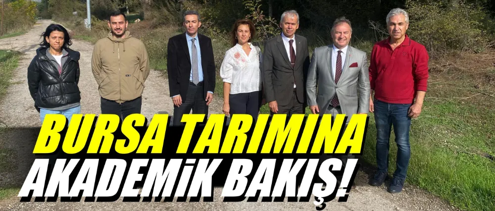 Bursa tarımına akademik bakış
