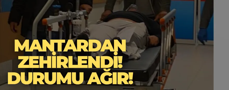 Mantardan zehirlendi, durumu ağır!