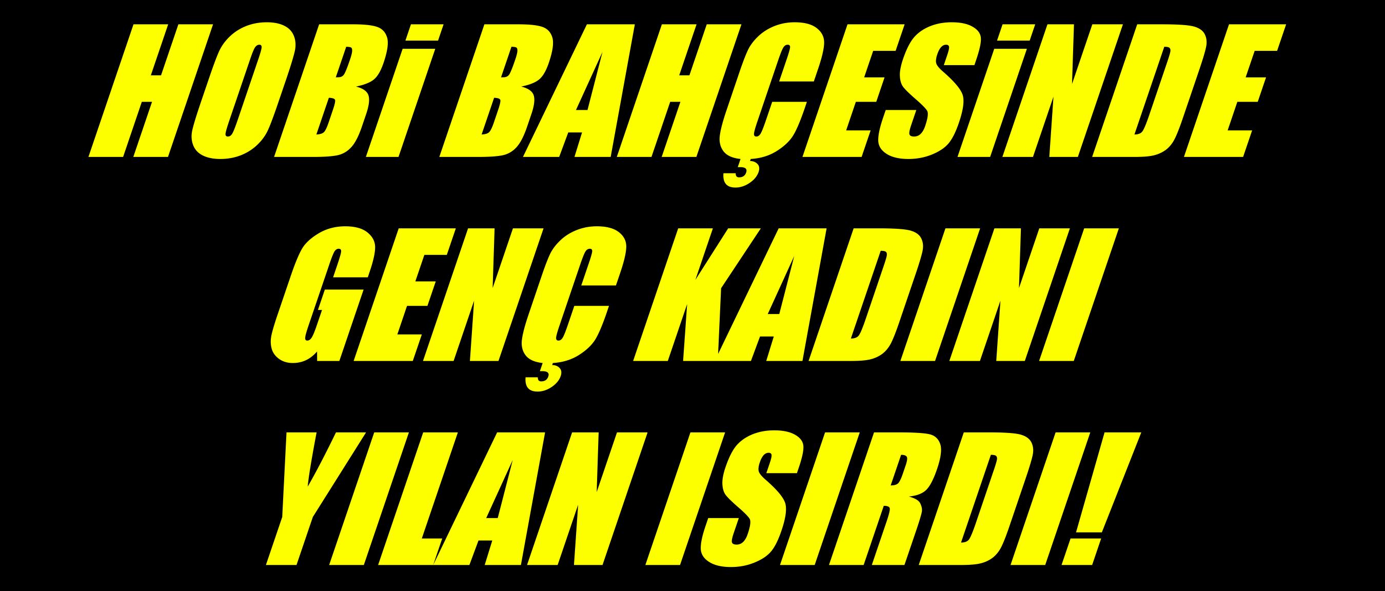 Hobi bahçesinde talihsiz kadını yılan ısırdı!