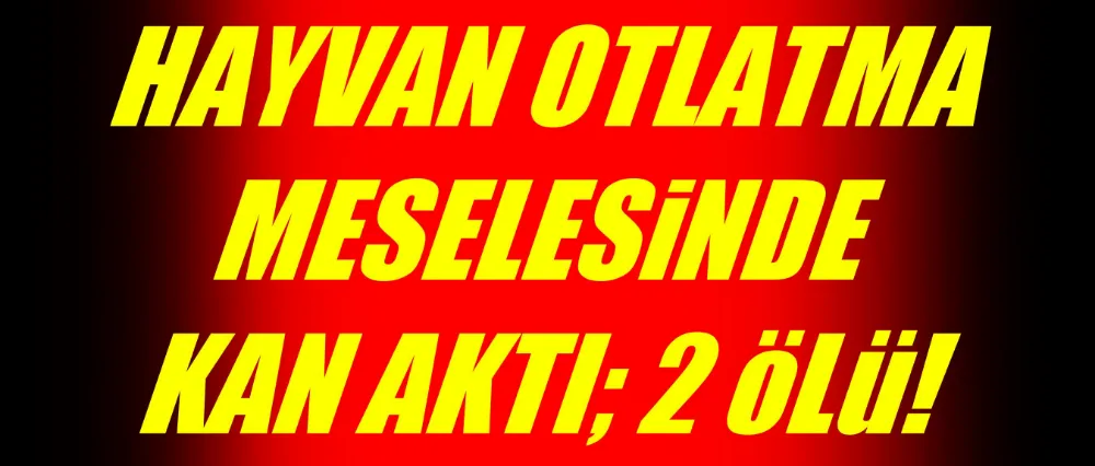 Komşu kavgasında kan aktı; 2 ölü!