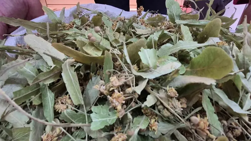 Geçen Sene Altınla Yarışıyordu, Bu Yıl Fiyatı Düştü