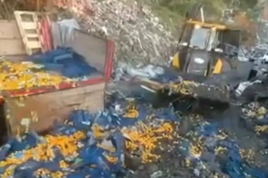 Tonlarca mandalinayı toprağa gömdüler!