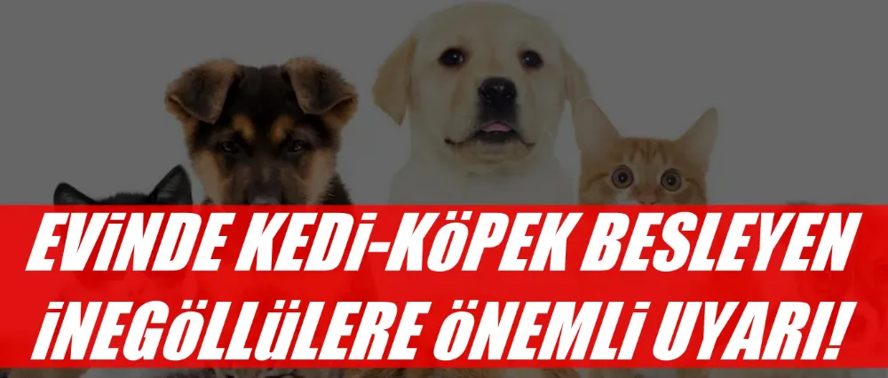 Evinde kedi-köpek besleyen İnegöllülere önemli uyarı!