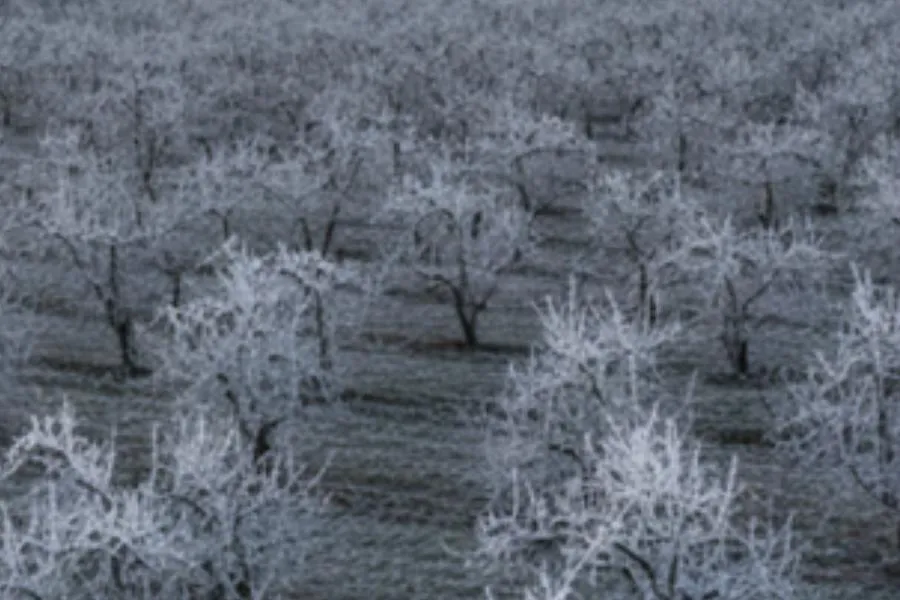 Üreticilere 4,2 milyar lira hasar tazminatı ödendi