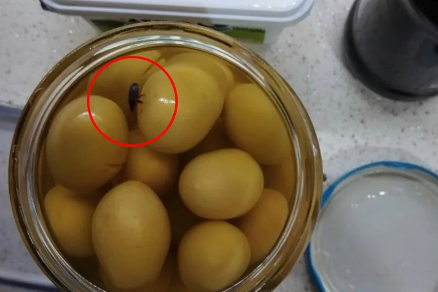 İnegöl’de Marketten Alınan Salamura Zeytinden Ölü Böcek Çıktı