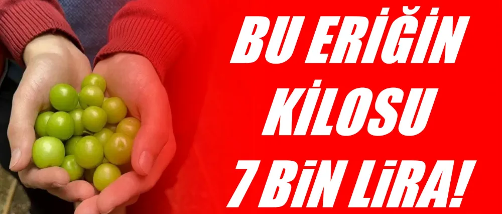 En erken erik hasadı! 